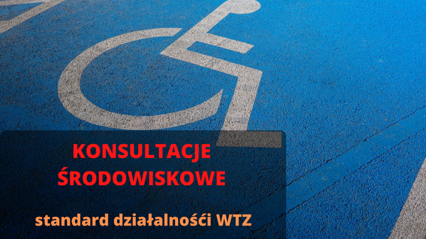 Konsultacje środowiskowe standardu działalności warsztatów terapii zajęciowej [INFORMACJA]