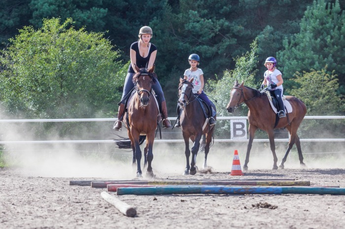 Stadnina Koni [Spółdzielnia Socjalna Iskra]