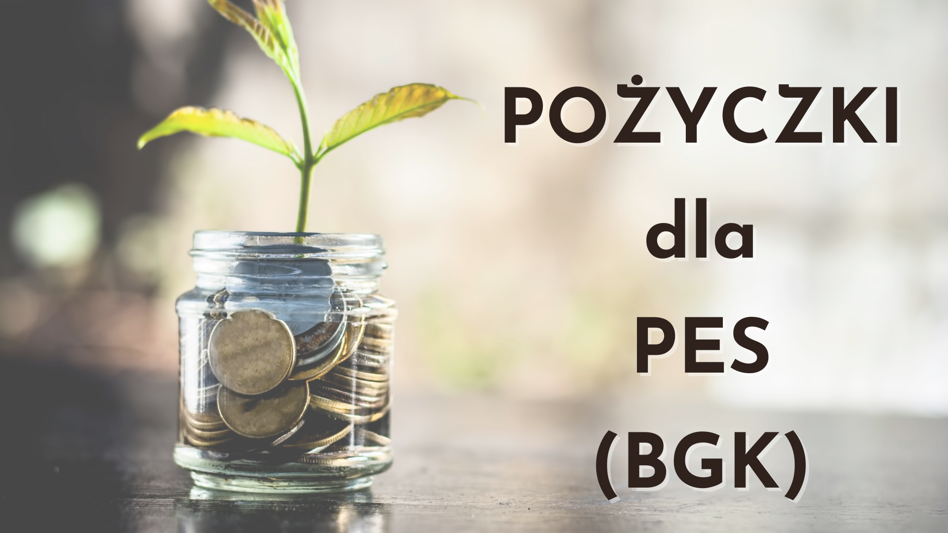 BGK uruchomił pożyczki dla PES